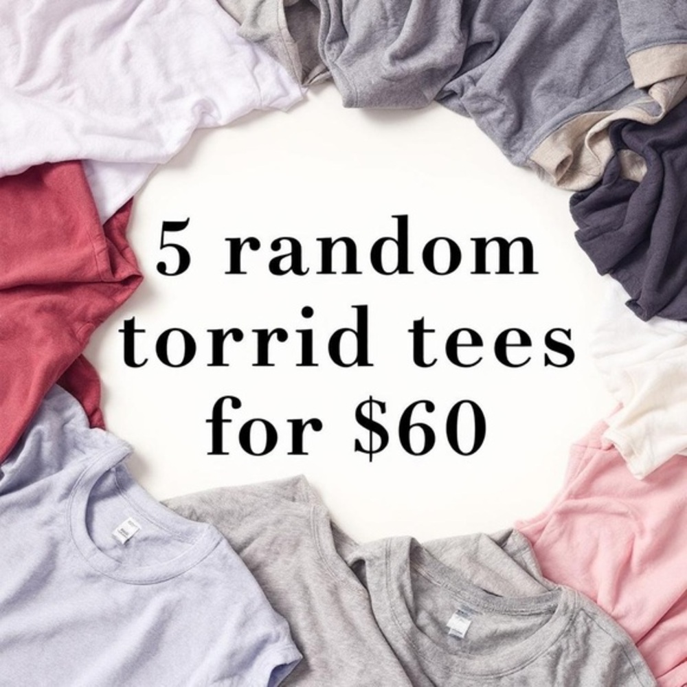 Women’s torrid 1 T Shirt Bundle 5 Tee / $60